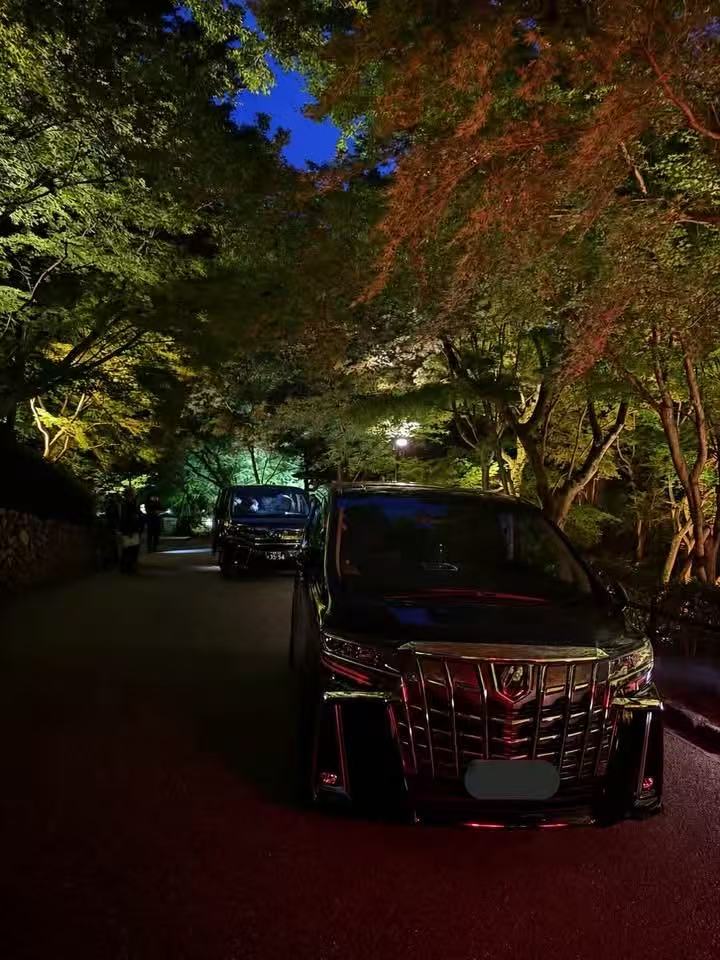 Rydo Japan vehicles parked beneath illuminated trees at night